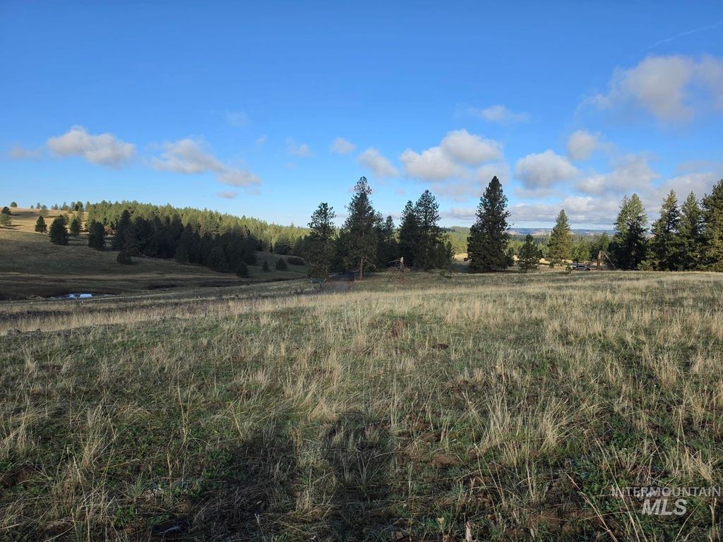 TBD Joseph Plains Rd, White Bird, ID 83554 photo 2