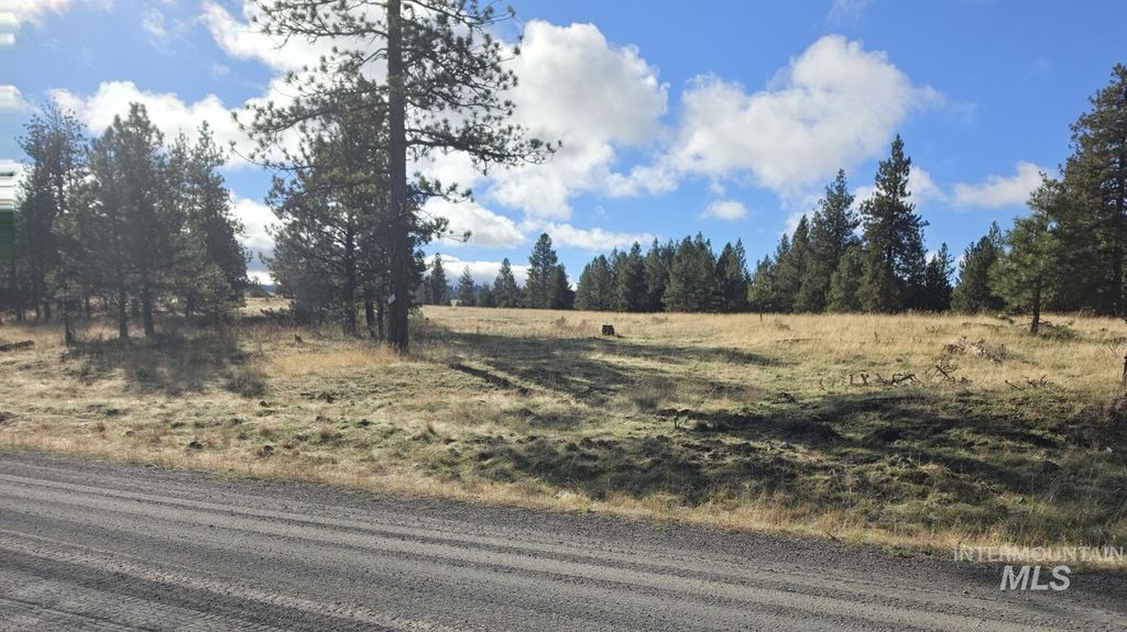 TBD Joseph Plains Rd, White Bird, ID 83554 photo 3