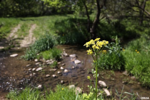 15937 E US 24 Highway, Lewistown, IL 61542