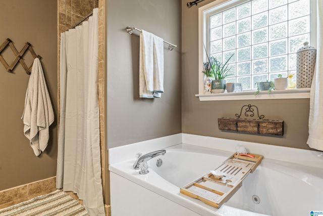 734 SHELBY FOREST TRAIL, Chelsea, AL 35043