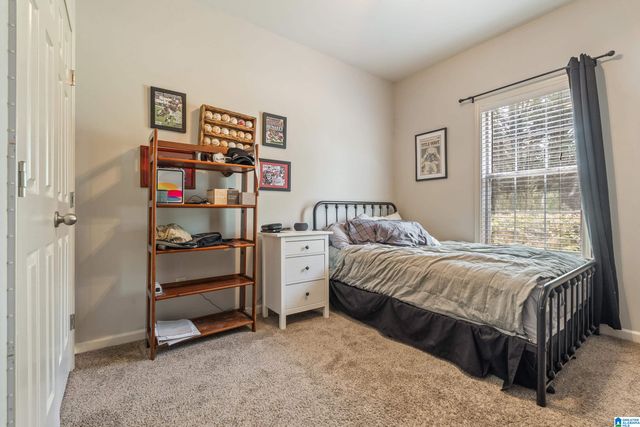 734 SHELBY FOREST TRAIL, Chelsea, AL 35043