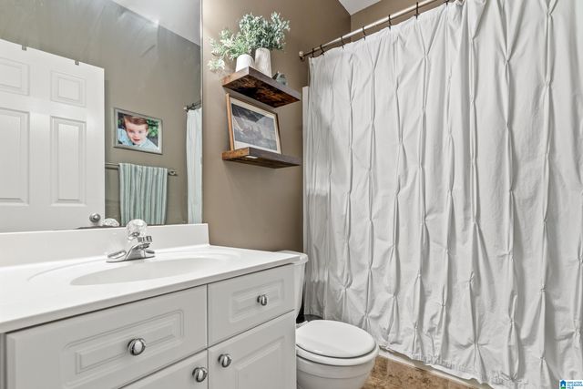 734 SHELBY FOREST TRAIL, Chelsea, AL 35043