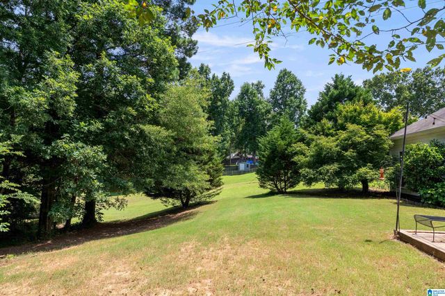 734 SHELBY FOREST TRAIL, Chelsea, AL 35043