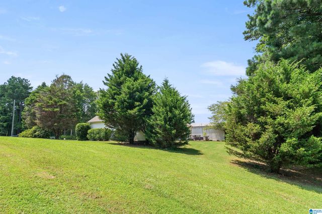 734 SHELBY FOREST TRAIL, Chelsea, AL 35043