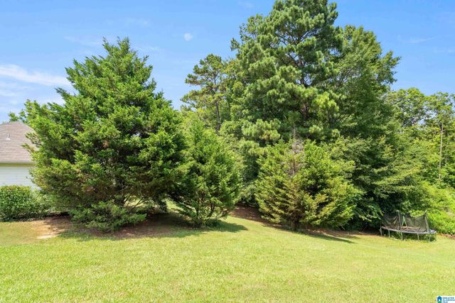 734 SHELBY FOREST TRAIL, Chelsea, AL 35043