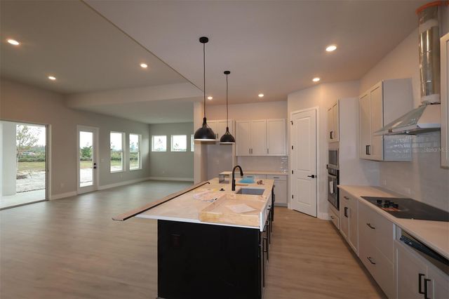 31583 HAYMAN LOOP, Wesley Chapel, FL 33545