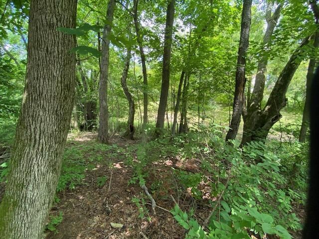6331 Sherman Road, Galena, OH 43021