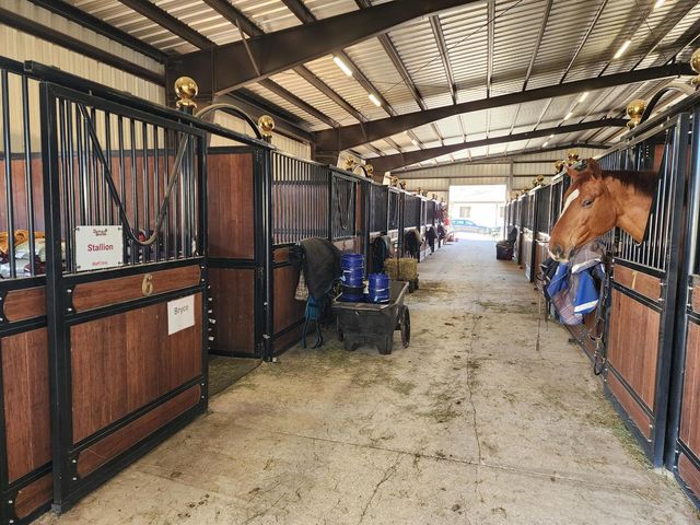 6025 NW 115th Avenue, Ocala, FL 34482