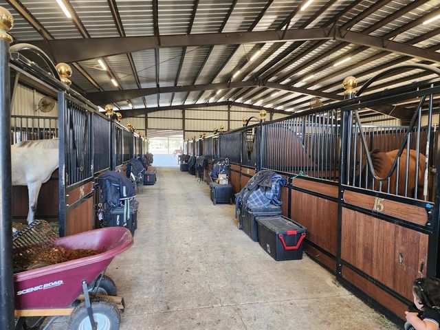 6025 NW 115th Avenue, Ocala, FL 34482