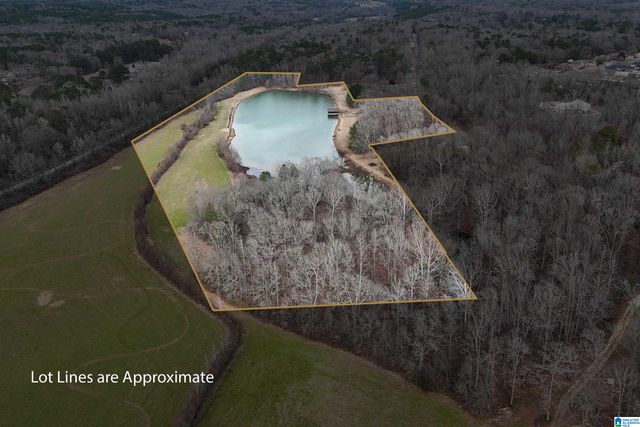 22348 ROSSER LANE, Mccalla, AL 35111