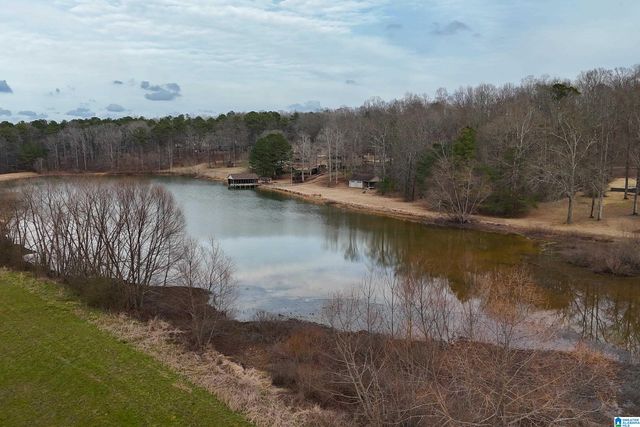 22348 ROSSER LANE, Mccalla, AL 35111