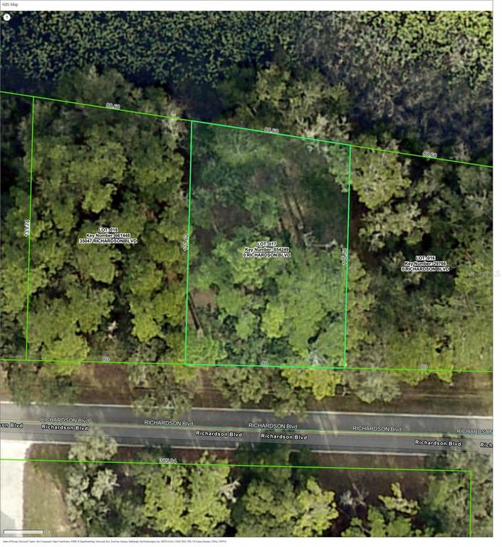 TBD RICHARDSON BOULEVARD, Webster, FL 33597