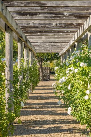 1032 Ponti Rd, Rutherford, CA 94558