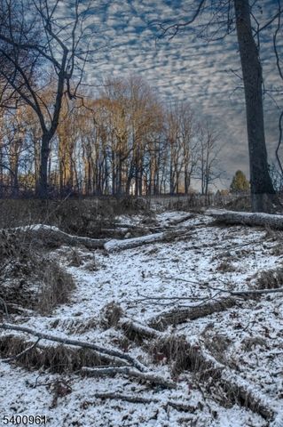 11 Logan Dr, Tewksbury Twp., NJ 07830