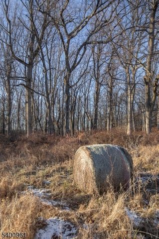 11 Logan Dr, Tewksbury Twp., NJ 07830