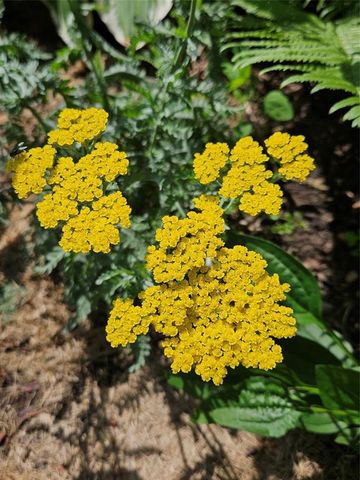 4836 Running Deer Drive, Eau Claire, WI 54703