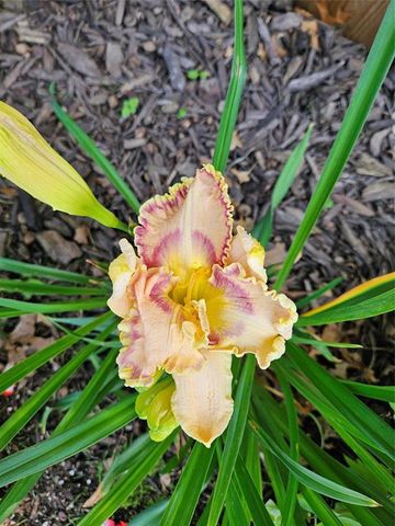 4836 Running Deer Drive, Eau Claire, WI 54703