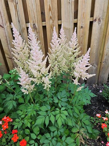 4836 Running Deer Drive, Eau Claire, WI 54703