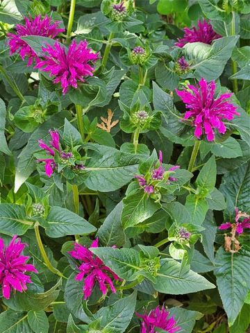 4836 Running Deer Drive, Eau Claire, WI 54703