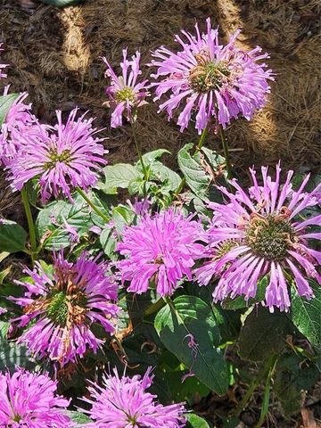 4836 Running Deer Drive, Eau Claire, WI 54703