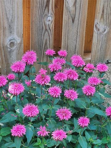 4836 Running Deer Drive, Eau Claire, WI 54703