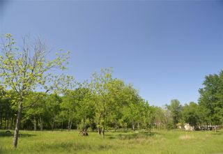 699 TBD Q S Goins LN, Elgin, TX 78621