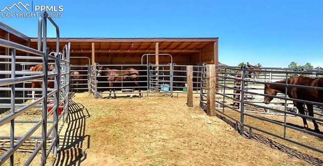 20152 Silverado Hill View, Colorado Springs, CO 80928