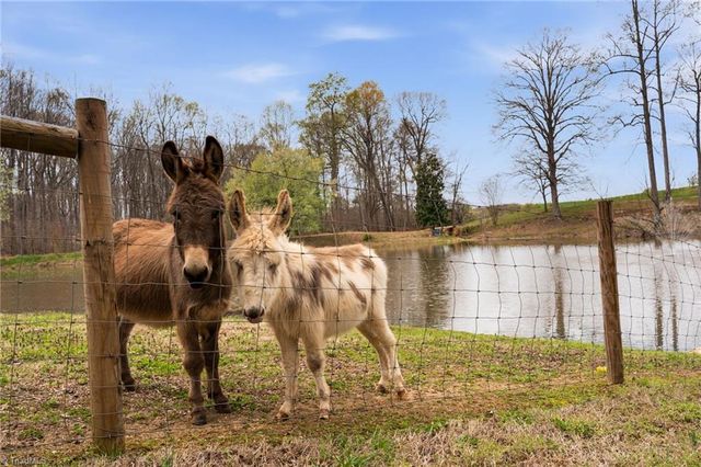 6777 Hockett Trail, Randleman, NC 27317