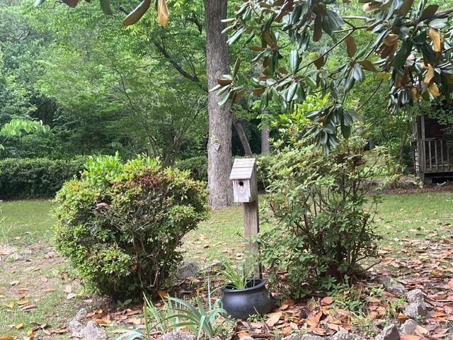8280 Marlboro Avenue, Barnwell, SC 29812