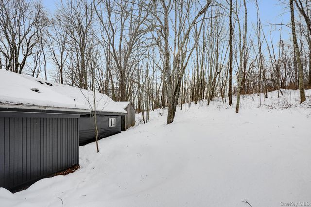 62 Netherwood Plaza, Hyde Park, NY 12578