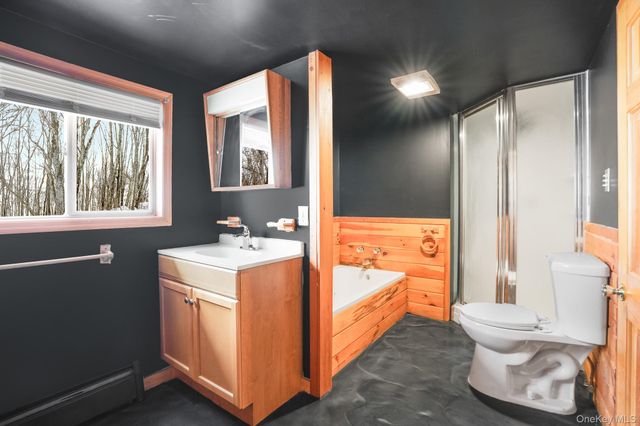 62 Netherwood Plaza, Hyde Park, NY 12578