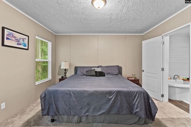 193 Mott Drive, Cope, SC 29038