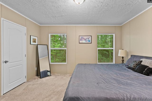 193 Mott Drive, Cope, SC 29038