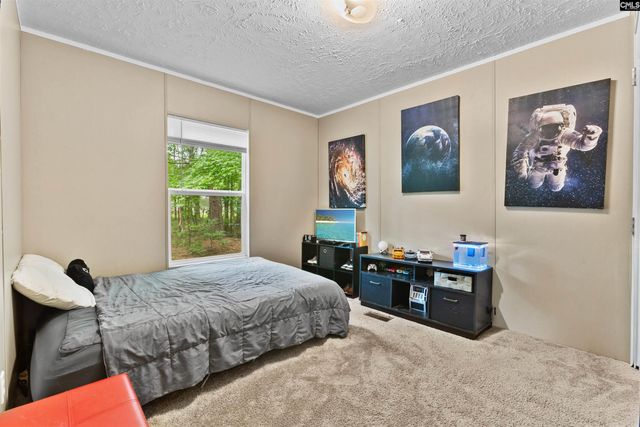 193 Mott Drive, Cope, SC 29038