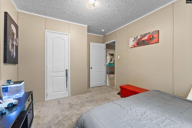 193 Mott Drive, Cope, SC 29038