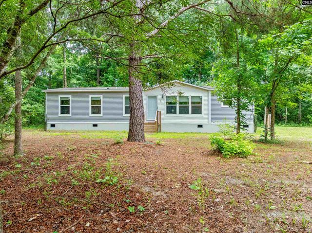 193 Mott Drive, Cope, SC 29038