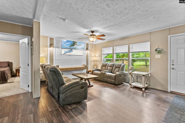 193 Mott Drive, Cope, SC 29038