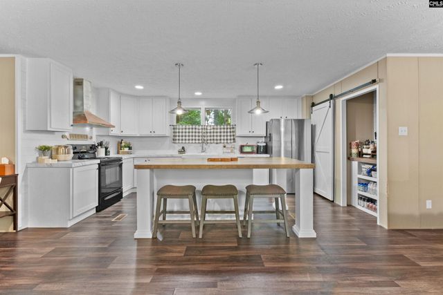 193 Mott Drive, Cope, SC 29038