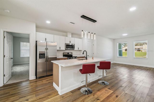 1520 ALAMEDA DRIVE, Spring Hill, FL 34609