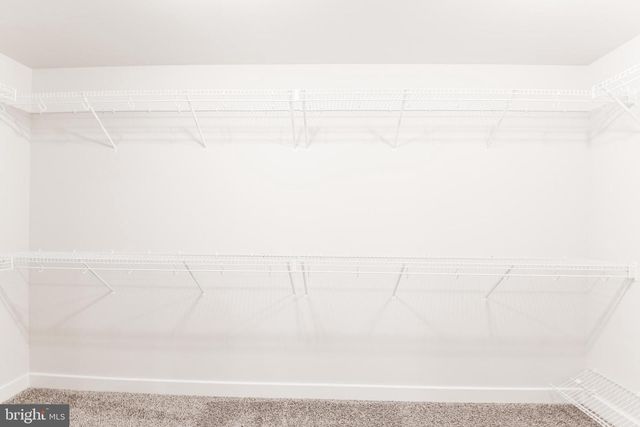 3 QUARRY RD, Stafford, VA 22554