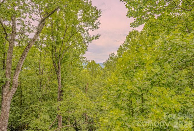 329 Mountain Crest Drive, Hendersonville, NC 28739