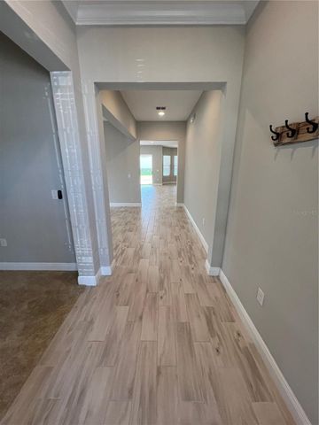 15784 SWEET LIMETTA DRIVE, Winter Garden, FL 34787