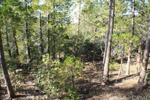 0 Grass Valley Road, Lake Arrowhead, CA 92352