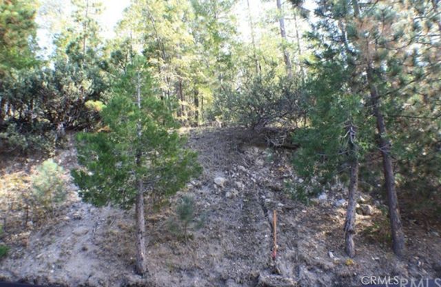 0 Grass Valley Road, Lake Arrowhead, CA 92352