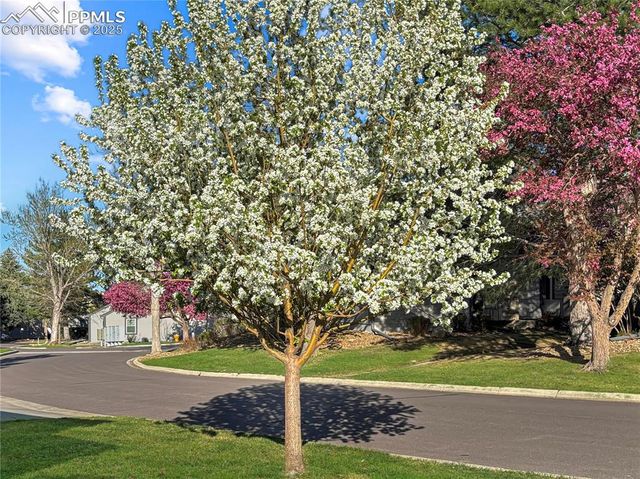 422 Cobblestone Drive, Colorado Springs, CO 80906