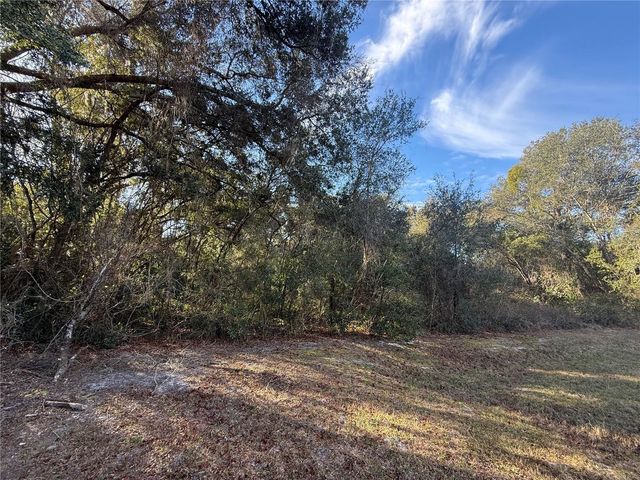 HARRIS LAKE ROAD, Lady Lake, FL 32159