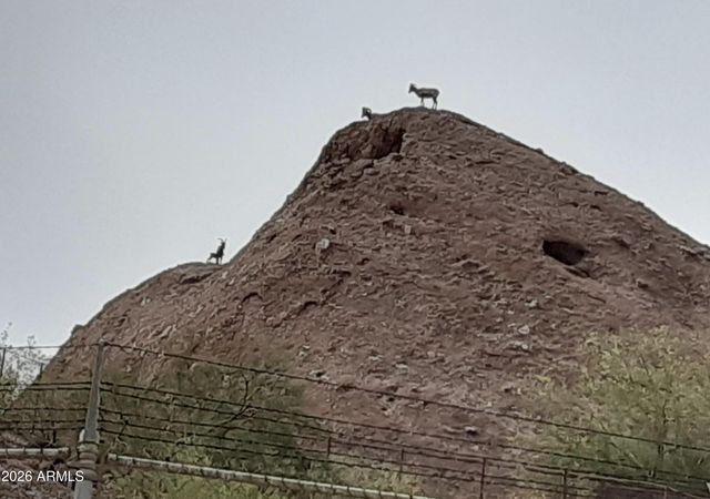 101 E Papago Drive E, Tempe, AZ 85288