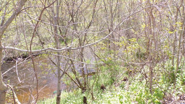 130 Morgan Street, Bennington, VT 05201