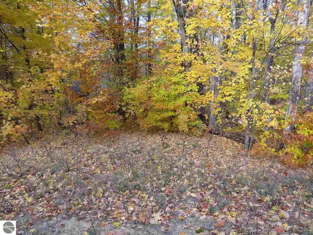 Image 1 of property listing at Lot 79 Eden Street, Kingsley, MI 49649