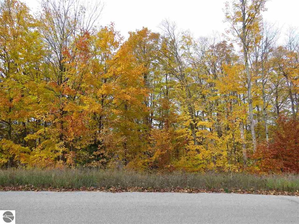 Image 2 of property listing at Lot 79 Eden Street, Kingsley, MI 49649
